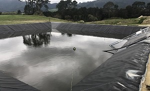 Goat Effluent Pond Lining Te Aroha with Yardmaster Stirrer